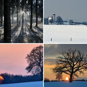 Natur u. Landschaft V