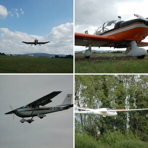 Fliegen