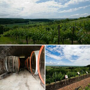 Weingut
