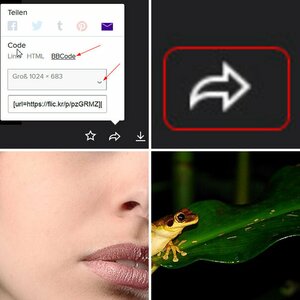 fremde Bilder