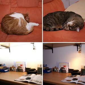 Selbstbaublitzdiffusor