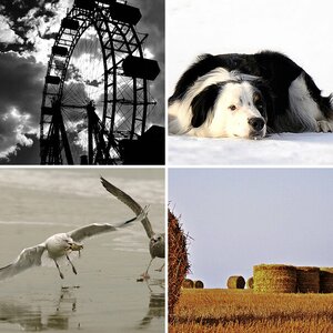 Bilder von anderen