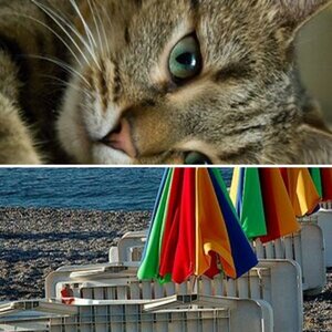 Testbilder