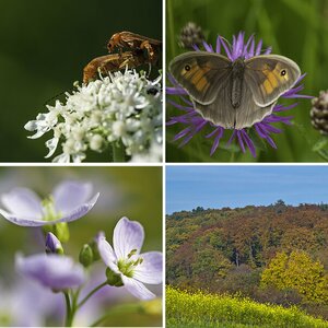 Naturfotos
