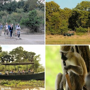 Malawi 2010