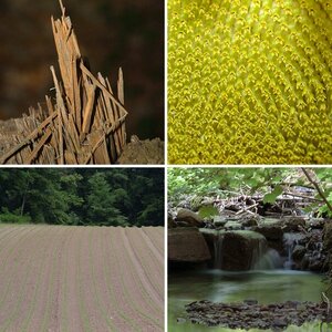 Natur
