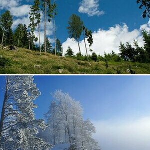 Landschaft
