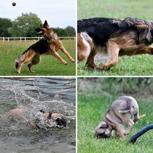 bewegte Bilder