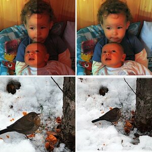 Test