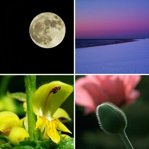 Diverses