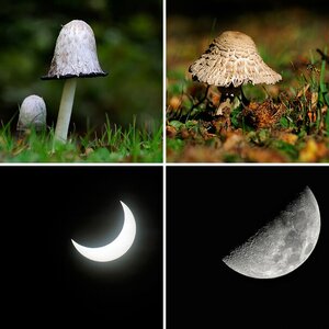 Diverses