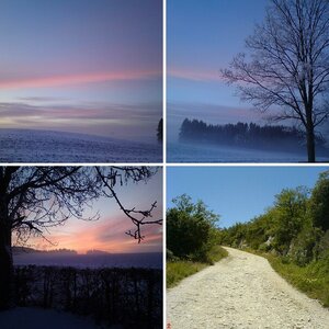 Handy-Bilder