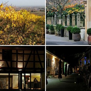 Wein-Erlebnistag Deidesheim