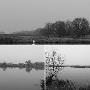 Nebel an der Saale