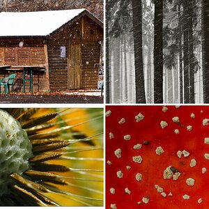 Natur