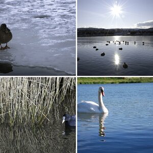 Natur