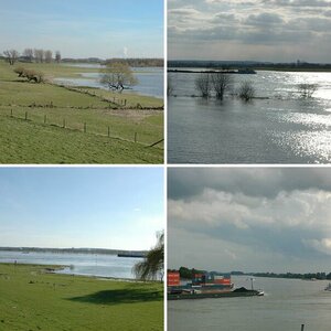 Rhein