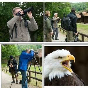 Impressionen Event Sababurg: Workshop Tierfotografie mit Claus Brandt