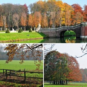 Herbst