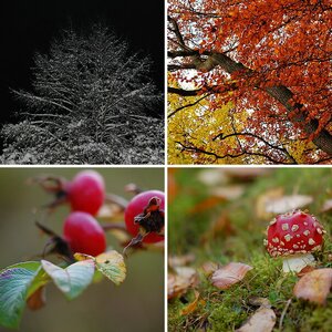 Natur & Landschaft