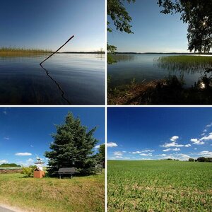 Hochsommer am Parsteinsee