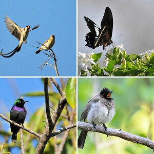 Malawi2 2010