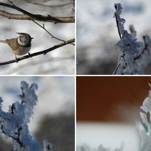 Tamron 70-300mm