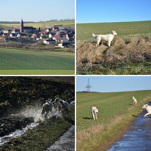 Erste Bilder
