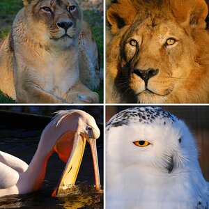 Zoo Straubing
