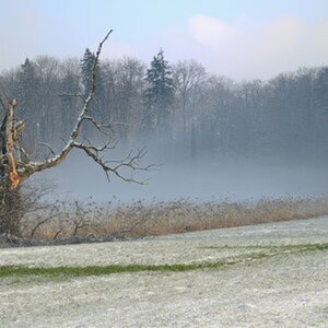 Natur