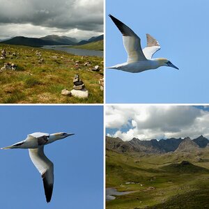 Schottland 2009