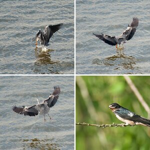 Usedom Juni 2009