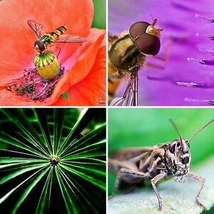 Natur