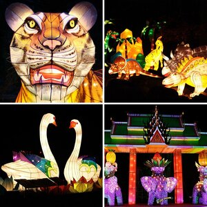 China Festival of Lights in Emmen