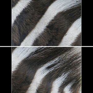 Haariges