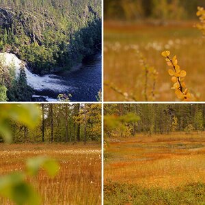 Muddus Nationalpark