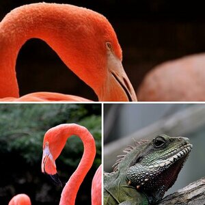 Die 1. Bilder