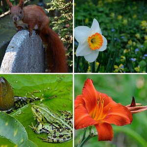 Natur
