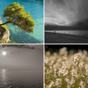 Landschaft