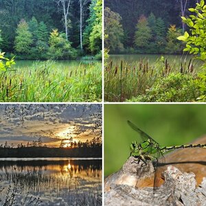 Naturfotographie