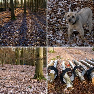 Diverses