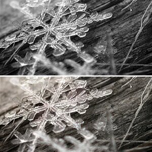 Schneekristalle · o7. Januar 2o1o.