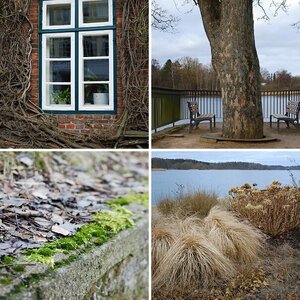 Diverses
