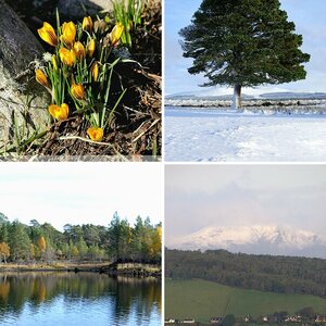 Natur, alles ausser Tiere