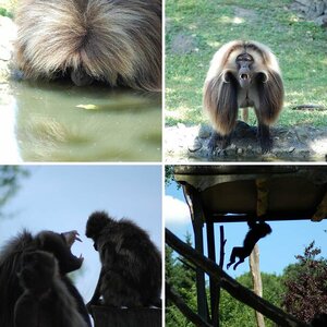 Rheine Zoo