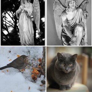 Diverses 7