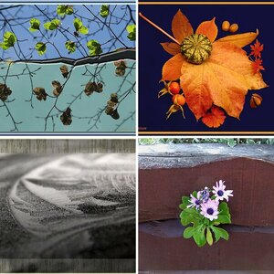 Natur