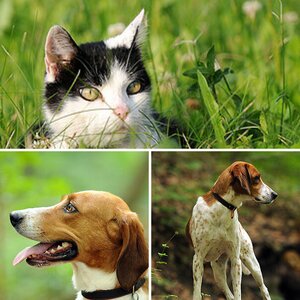 Fotos für Thread III