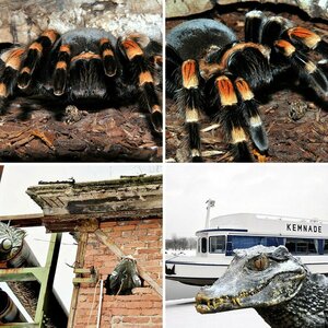 Zoo Bochum
