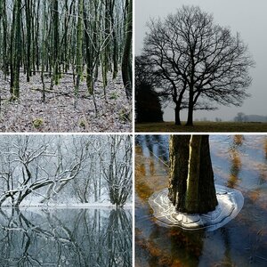 Baum und Co.